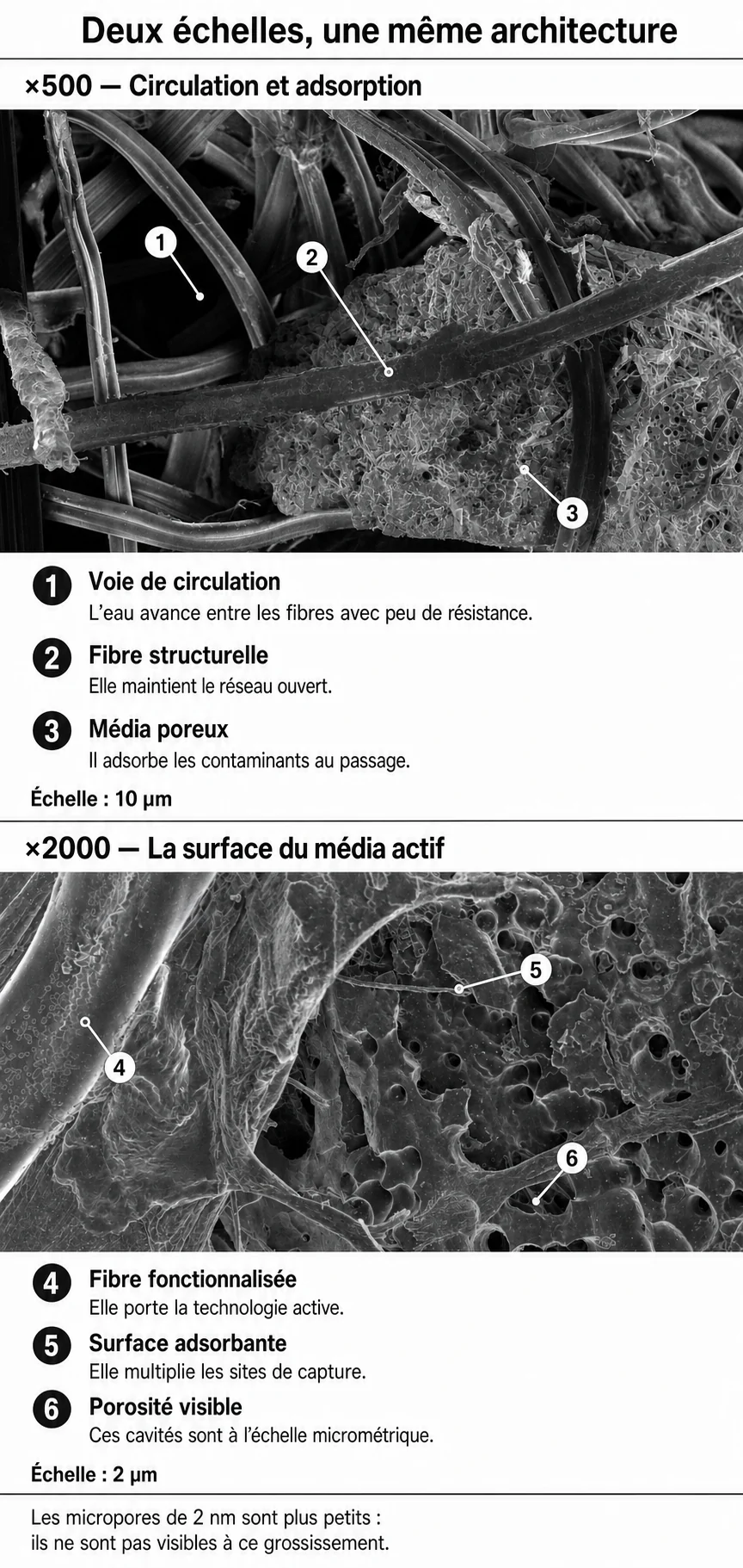 Filtre explication